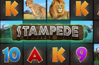 Stampede