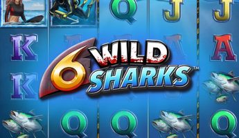 6 Wild Sharks 6 Wild Sharks