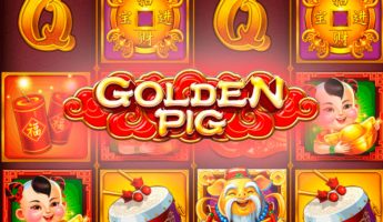 Golden Pig