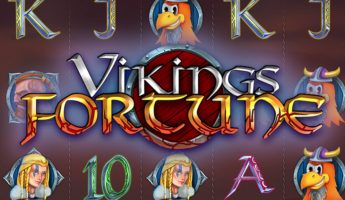 Vikings Fortune