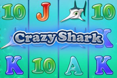 Crazy Shark