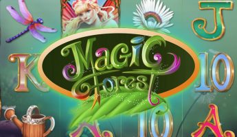 Magic Forest Magic Forest
