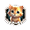 Рыжий кот в Golden Kitty