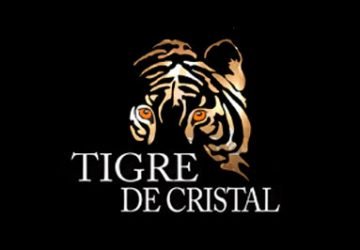 tigre-de-cristal-covercover
