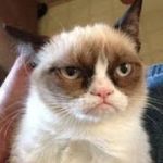 пользователь 