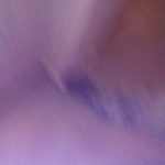 пользователь 