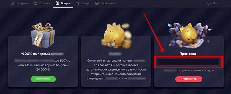 Ввод промокода