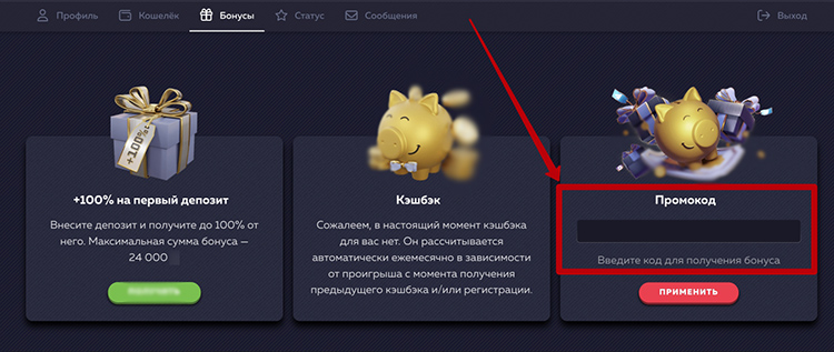 Где указать промокод