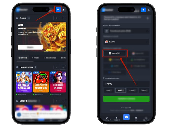 Платежный раздел