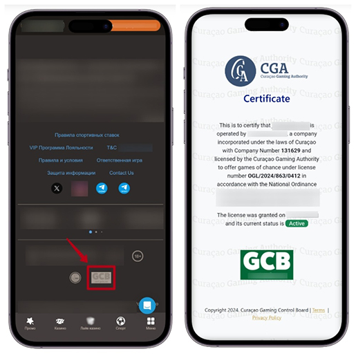 Проверка лицензии