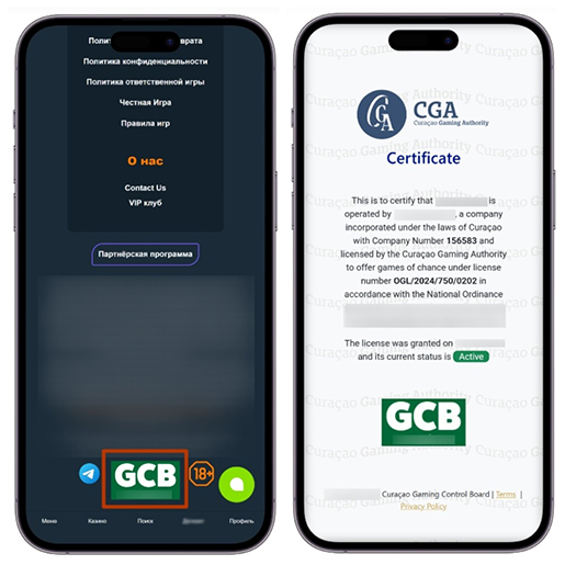 Проверка лицензии