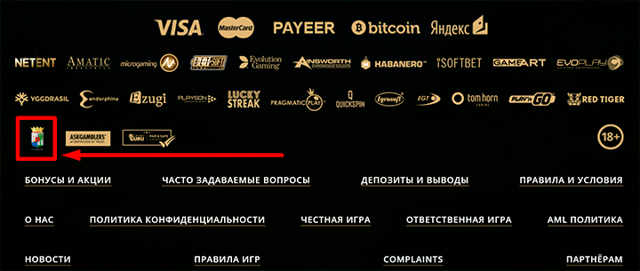 Лицензия