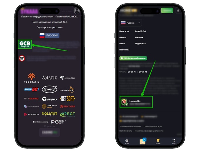 Проверка лицензии