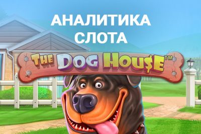 Аналитика слота The Dog House