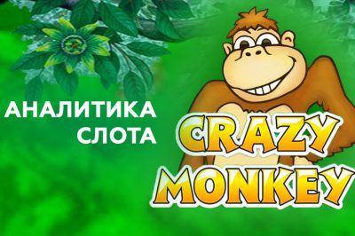 Аналитика слота Crazy Monkey
