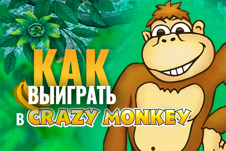 Crazy monkey схема выигрыша на сегодня