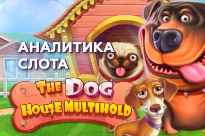Аналитика The Dog House
