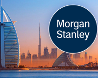 Годовой валовой доход казино ОАЭ может достичь 3-5 млрд — Morgan Stanley