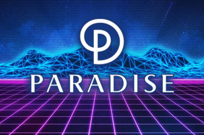 Доход Paradise Co