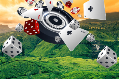 Туристический бум вывел казино Шри-Ланки на новый уровень в 2025 году