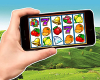 Легализация онлайн-казино в Новой Зеландии перешла к финальной стадии