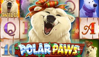 Polar Paws
