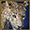 Леопард в Rhino King