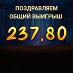 пользователь 