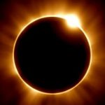 пользователь 