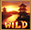 Храм (Wild) в Sengoku Battle