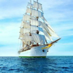 пользователь 