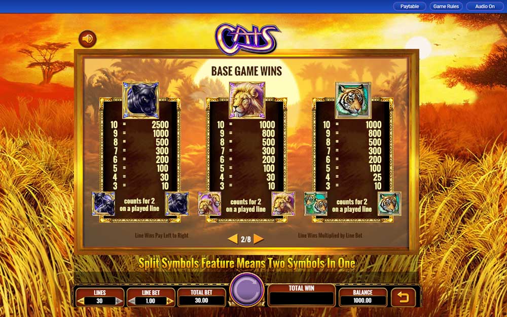Игровые автоматы cat casino cat play pw. В слоте или в слоту. Слот с кошками. Слот кет процессора.
