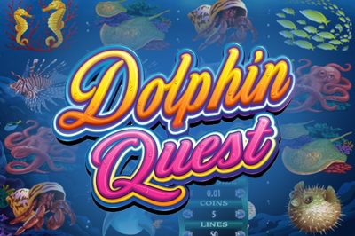 Dolphin Quest