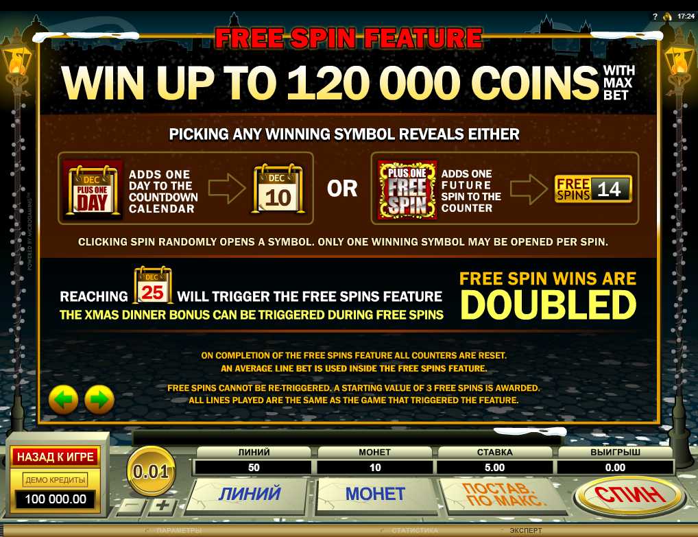 Bonus feature free slot