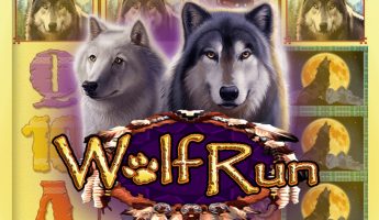 Wolf Run Wolf Run