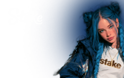 256x160-stake-icon1