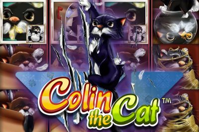Colin the Cat