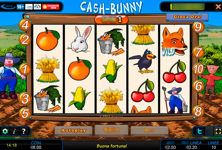 Cash-Bunny