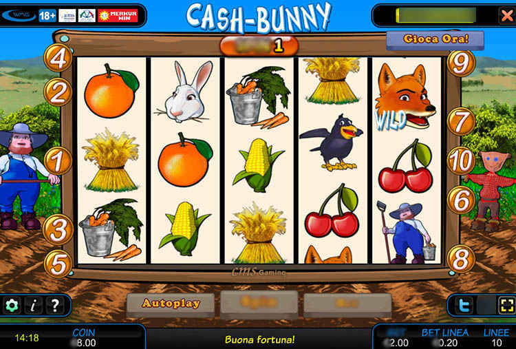 Cash-Bunny